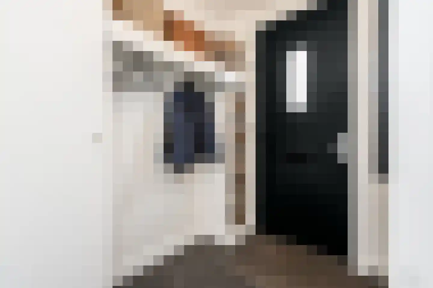 Pr van Oranjestraat 30 Zaltbommel thumbnail 7