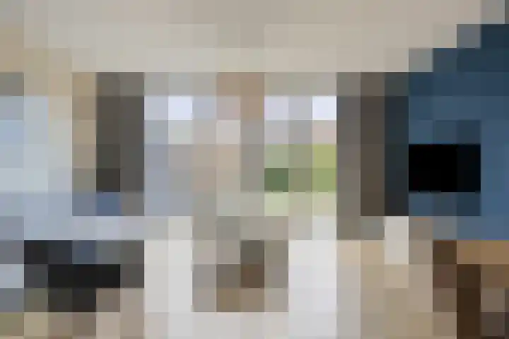 Pr van Oranjestraat 32 Zaltbommel foto 2