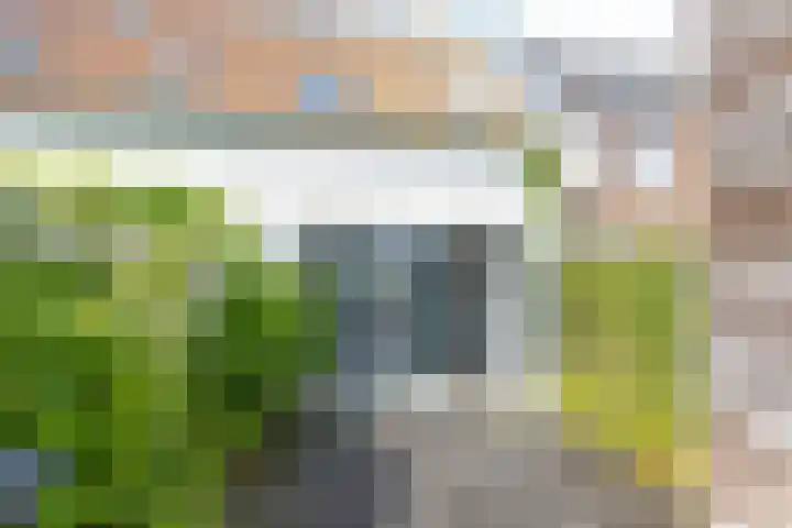 Pr van Oranjestraat 9 Zaltbommel thumbnail 33