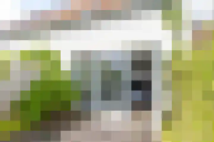 Pr van Oranjestraat 9 Zaltbommel thumbnail 34
