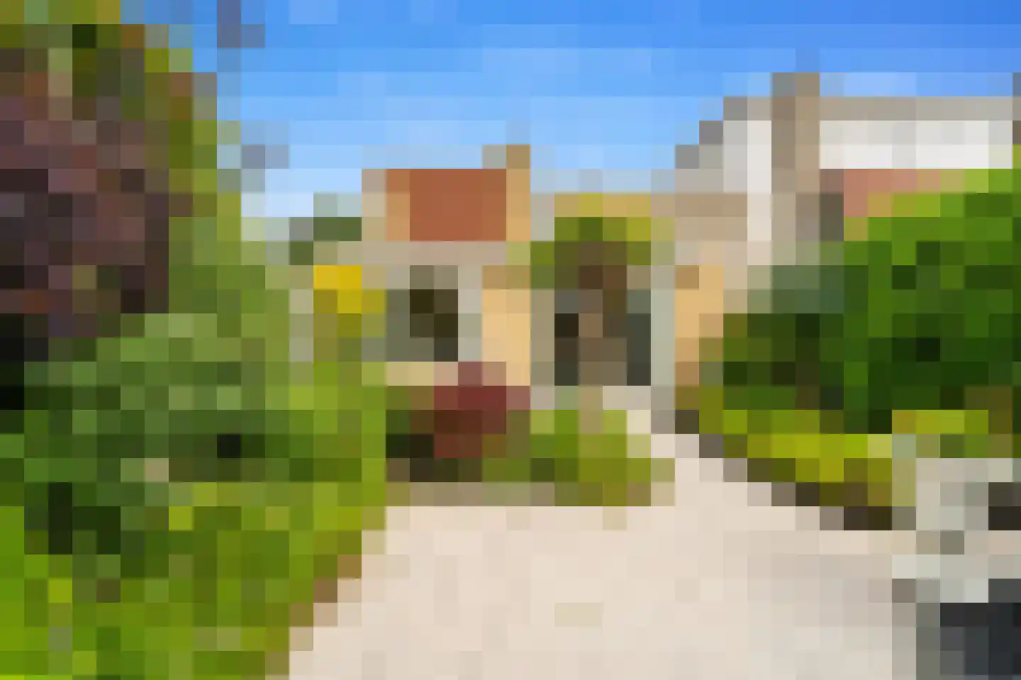 Pr Willem Alexanderhof 52 Den Hoorn thumbnail 21
