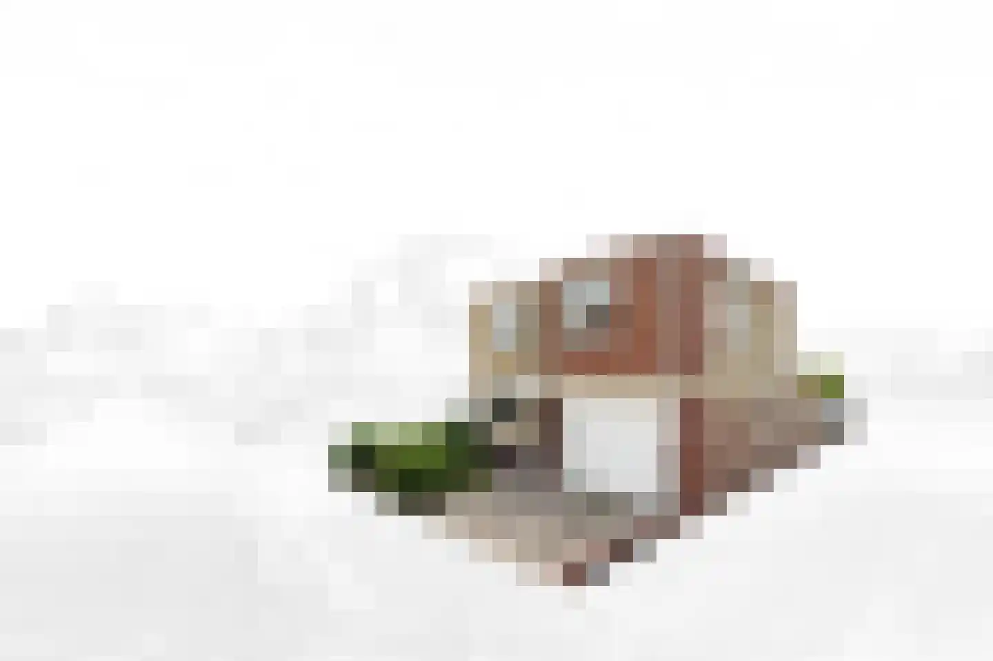 Pr Willem Alexanderhof 52 Den Hoorn thumbnail 9