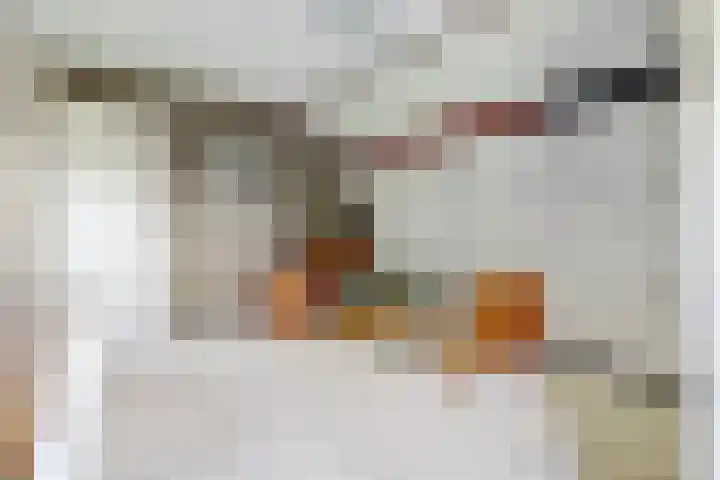 Pr Willem-Alexanderstr 1 Aalst thumbnail 22