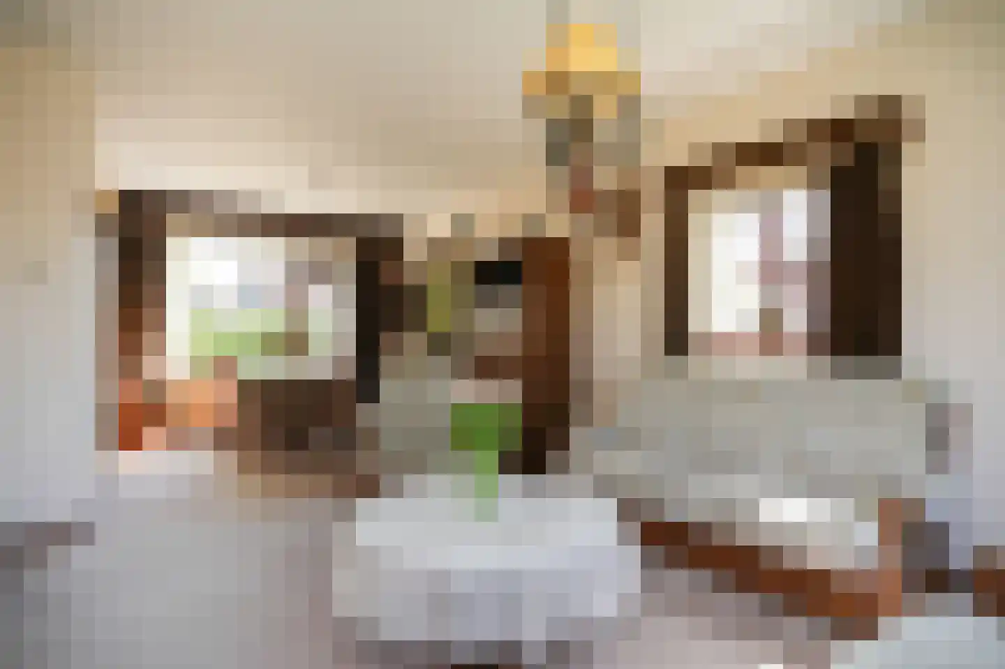 Pr Willem-Alexanderstr 15 Aalst thumbnail 5