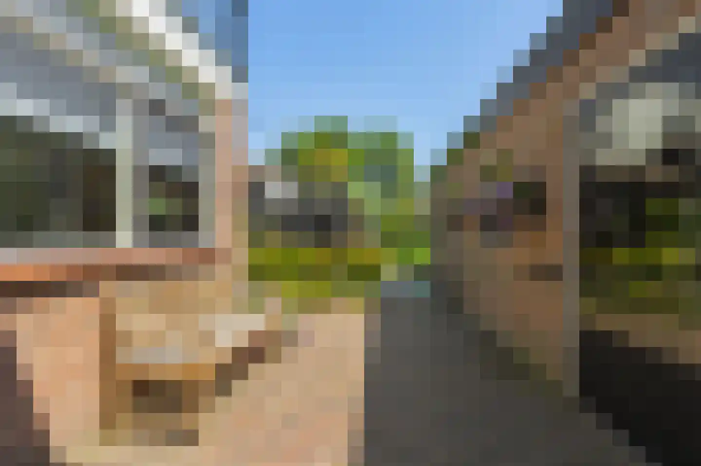 Pr Willem-Alexanderstr 5 Gameren thumbnail 52