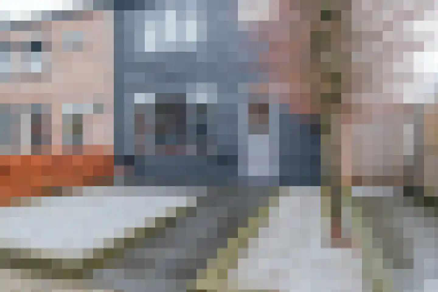 Pr Willem Alexanderstr 53 Genemuiden thumbnail 36