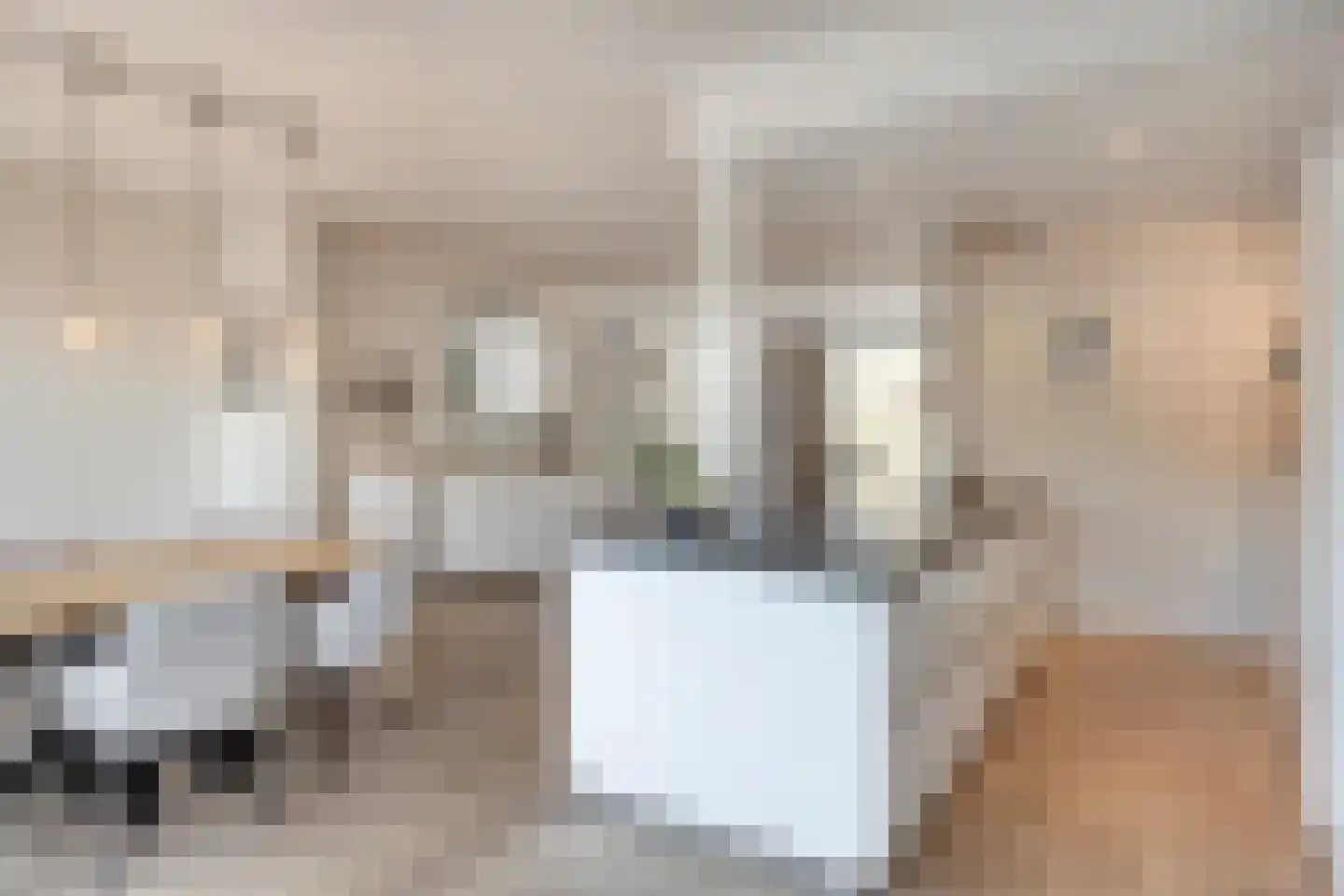 Pr Willem Alexanderstr 6 Gronsveld thumbnail 14