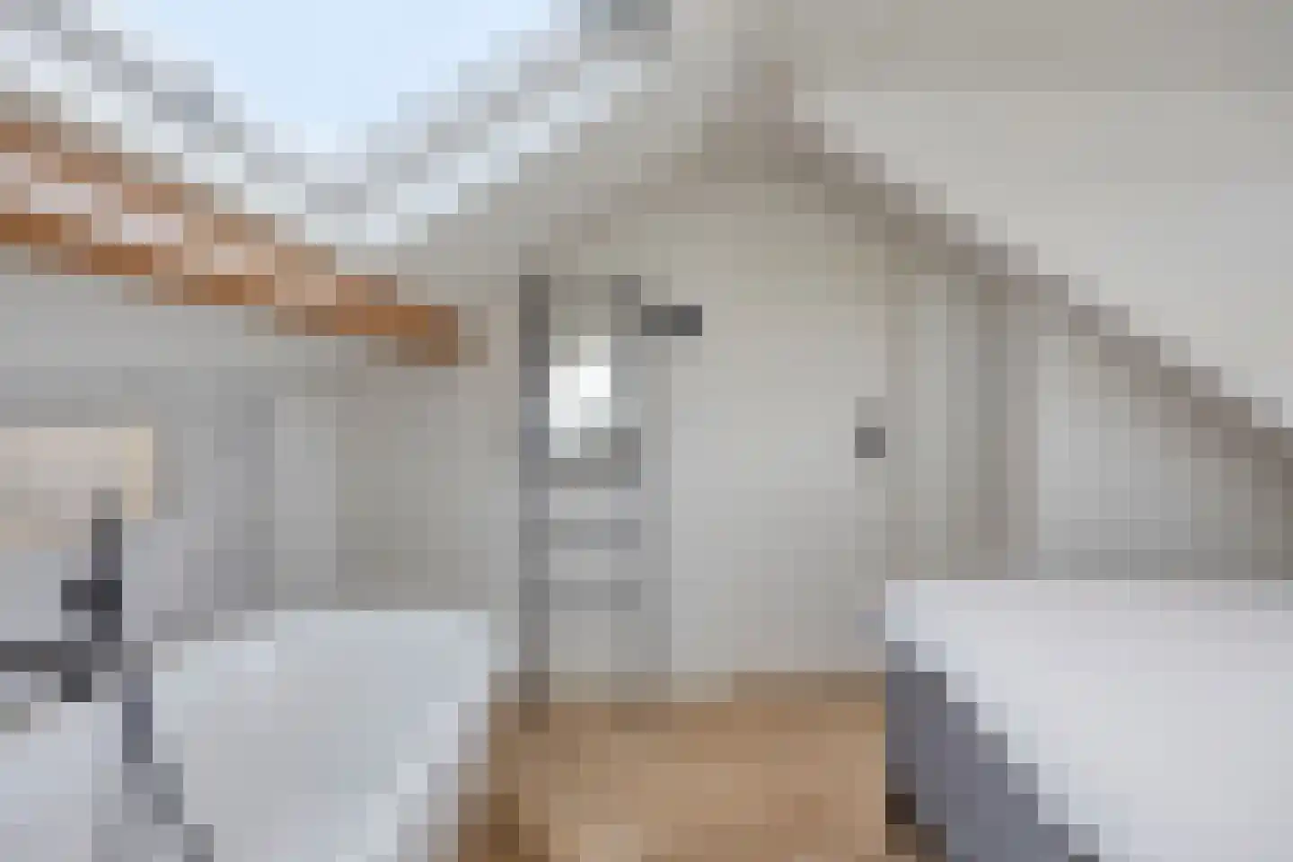Pr Willem Alexanderstr 6 Gronsveld thumbnail 33