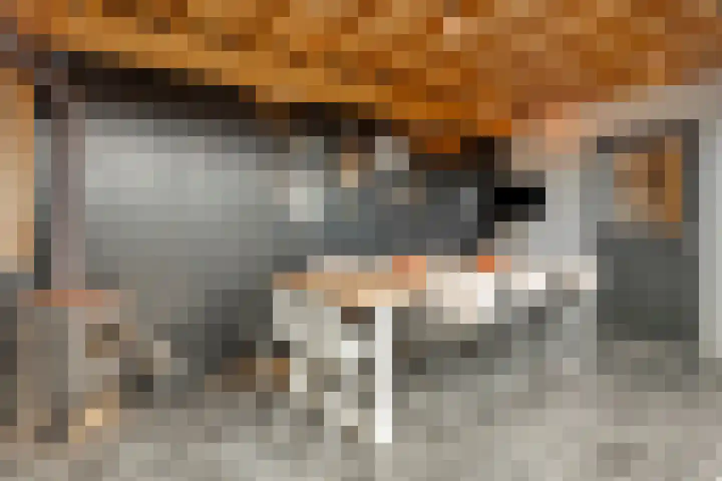 Pr Willem Alexanderstr 6 Gronsveld thumbnail 37