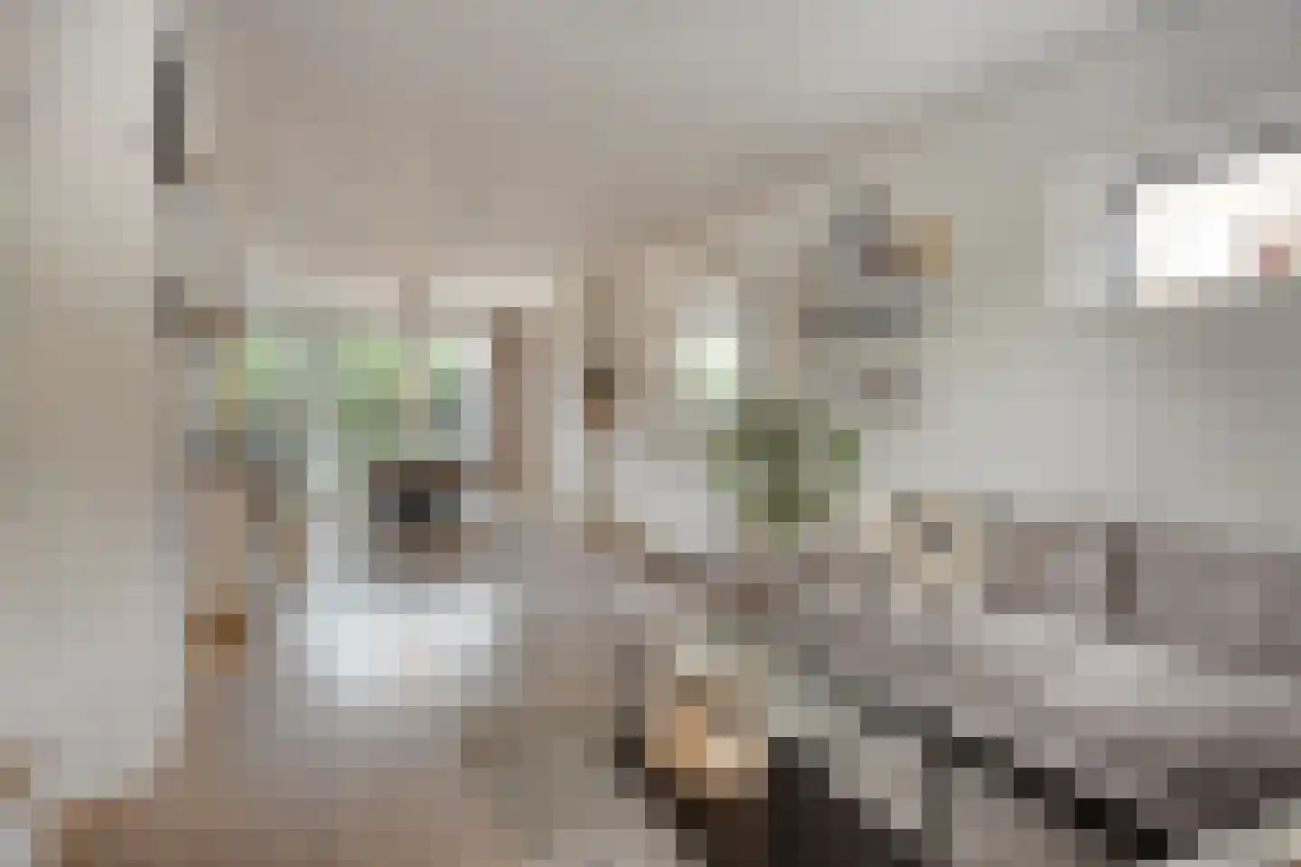 Pr Willem Alexanderstr 6 Gronsveld thumbnail 8