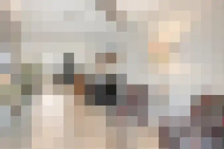 Praaglaan 110 Maastricht thumbnail 11