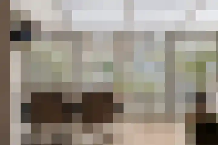 Praaglaan 110 Maastricht thumbnail 12