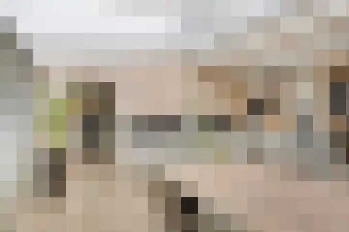 Praaglaan 110 Maastricht thumbnail 14
