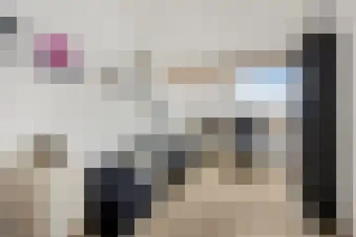 Praaglaan 110 Maastricht thumbnail 30