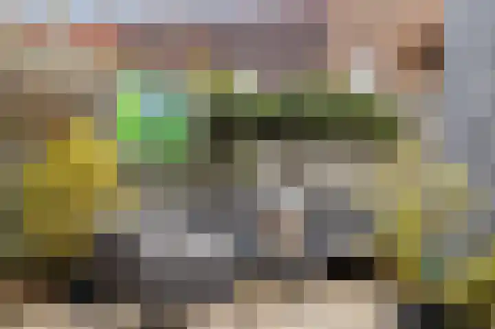 Praaglaan 110 Maastricht thumbnail 34