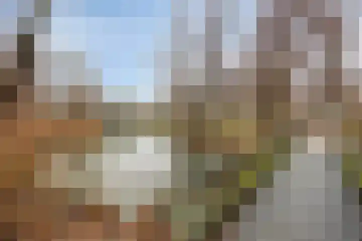 Praaglaan 110 Maastricht thumbnail 36