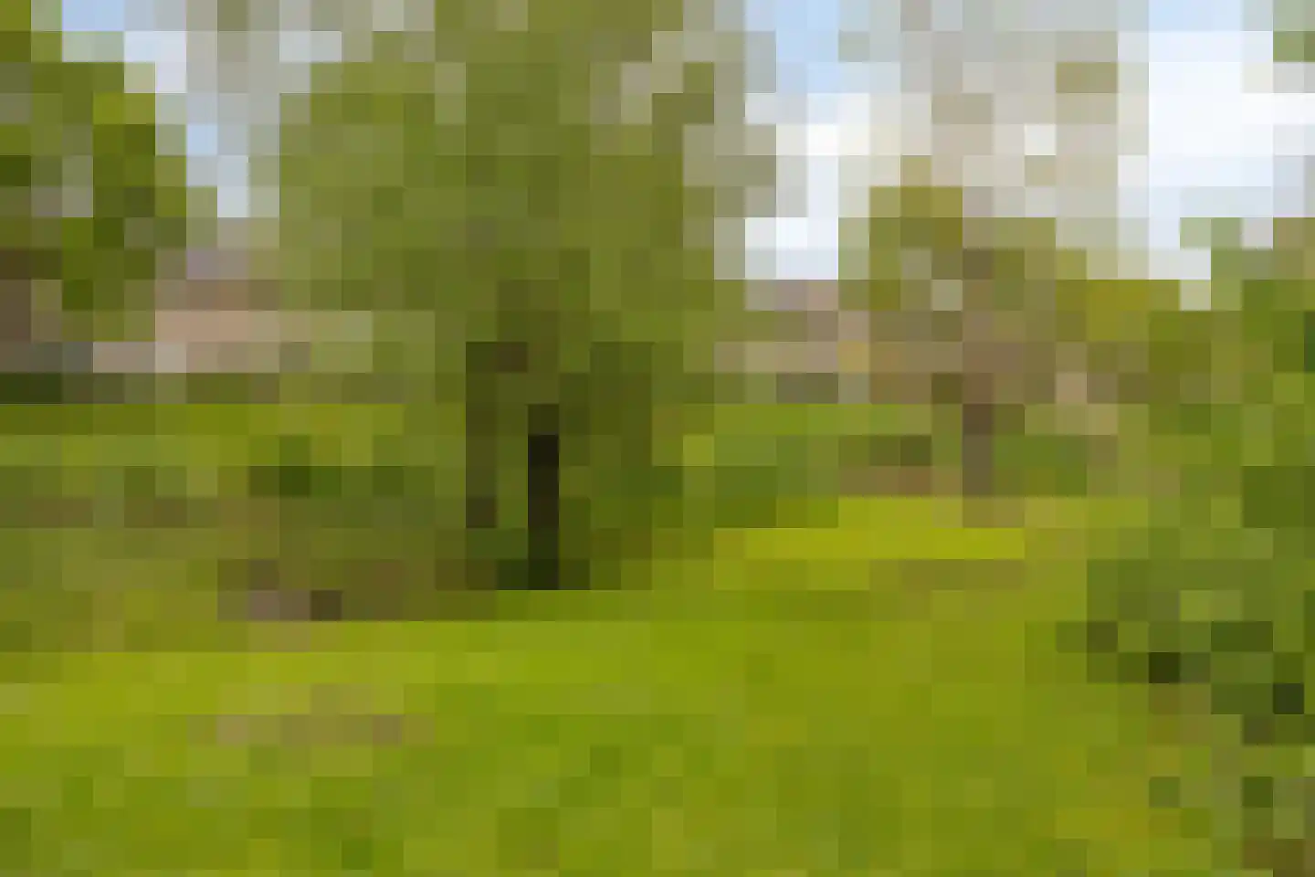 Praaglaan 26 Maastricht thumbnail 43