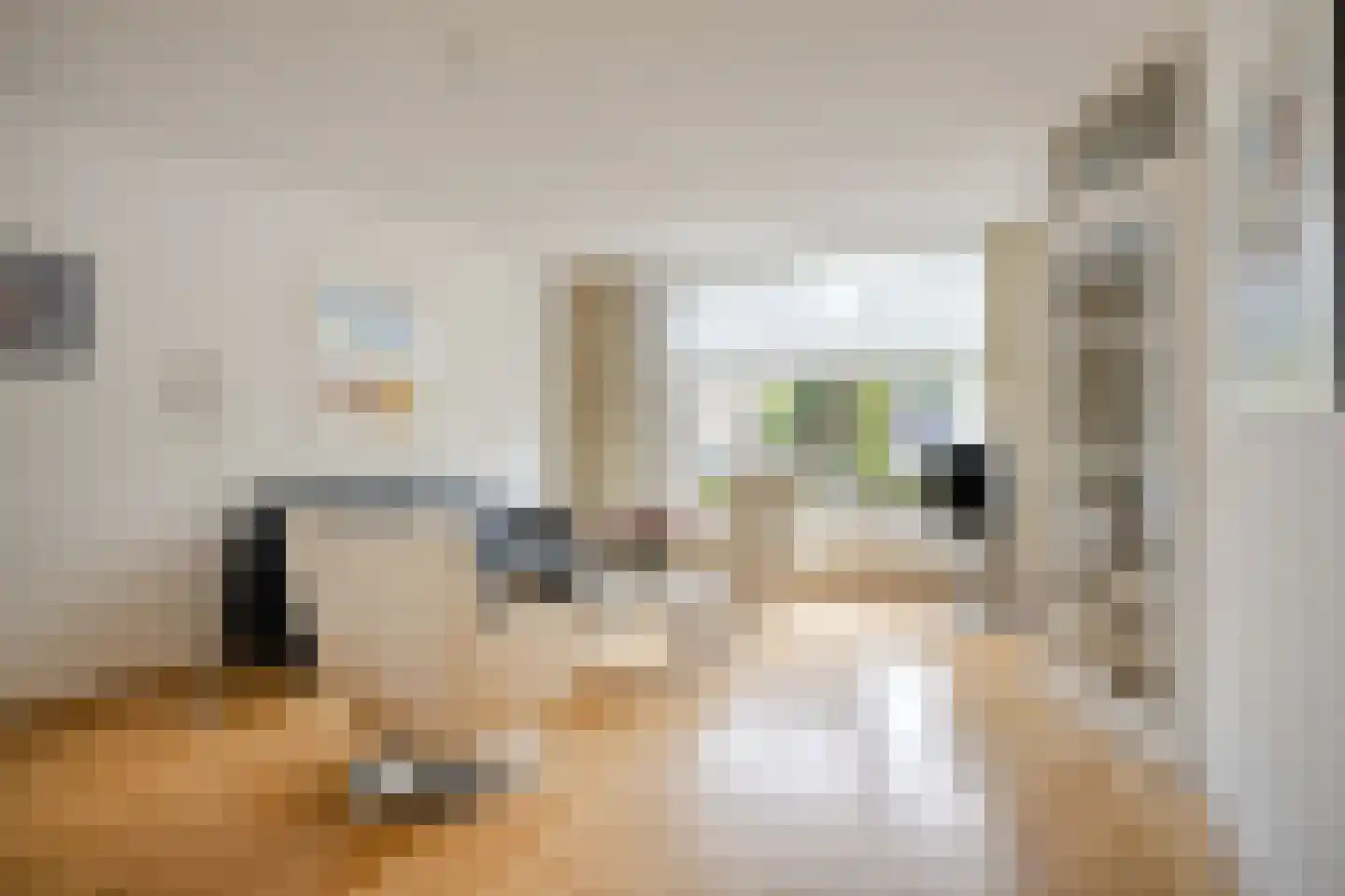 Praaglaan 26 Maastricht thumbnail 5