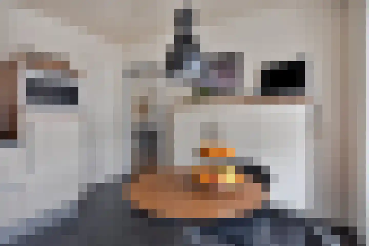 Praaglaan 69 Maastricht thumbnail 16