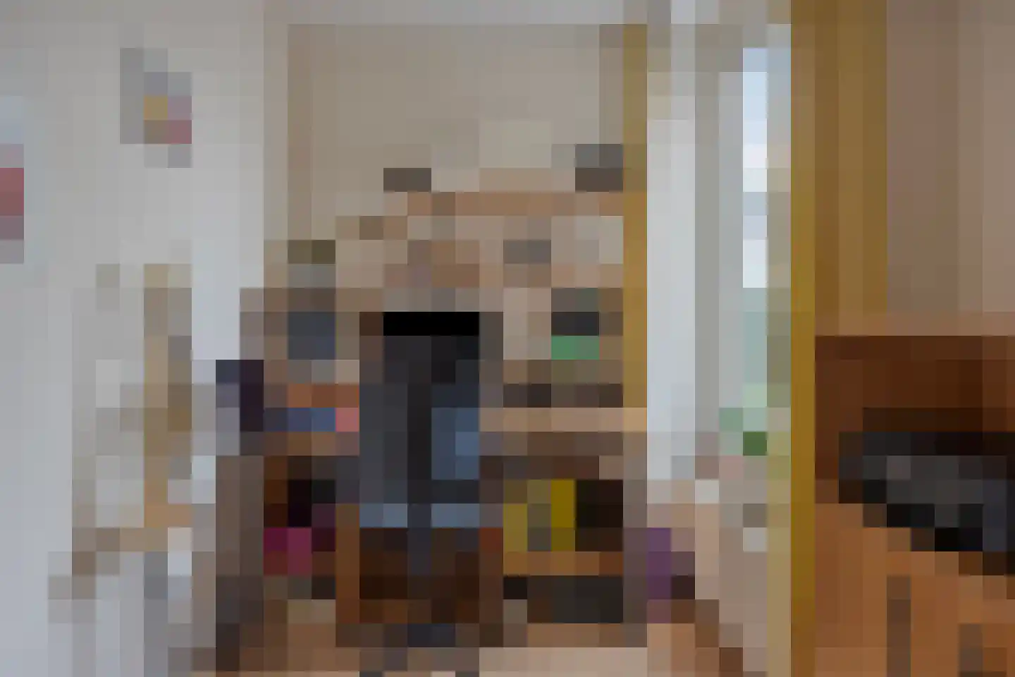 Praaglaan 69 Maastricht thumbnail 23