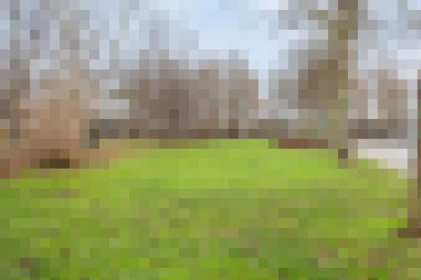 Praaglaan 69 Maastricht thumbnail 32