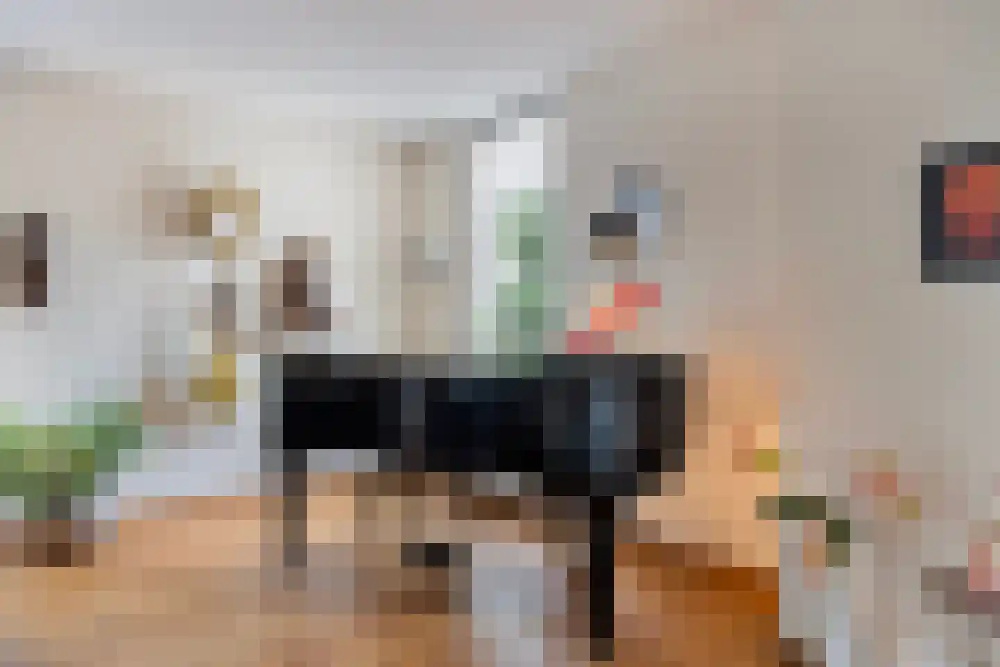 Praaglaan 69 Maastricht thumbnail 9