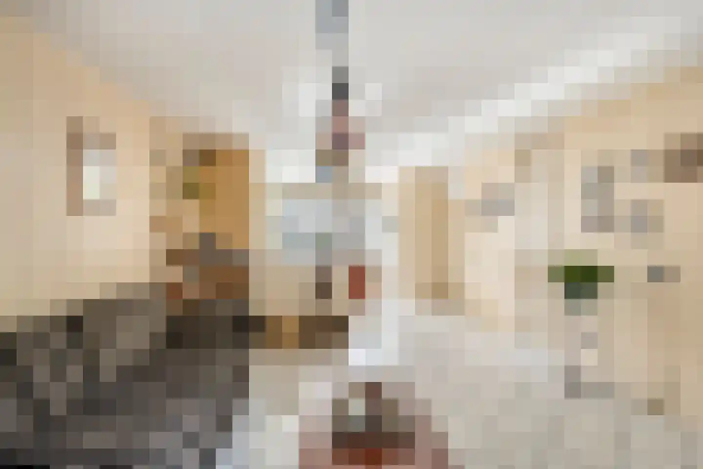 Praagpad 10 Almere thumbnail 11