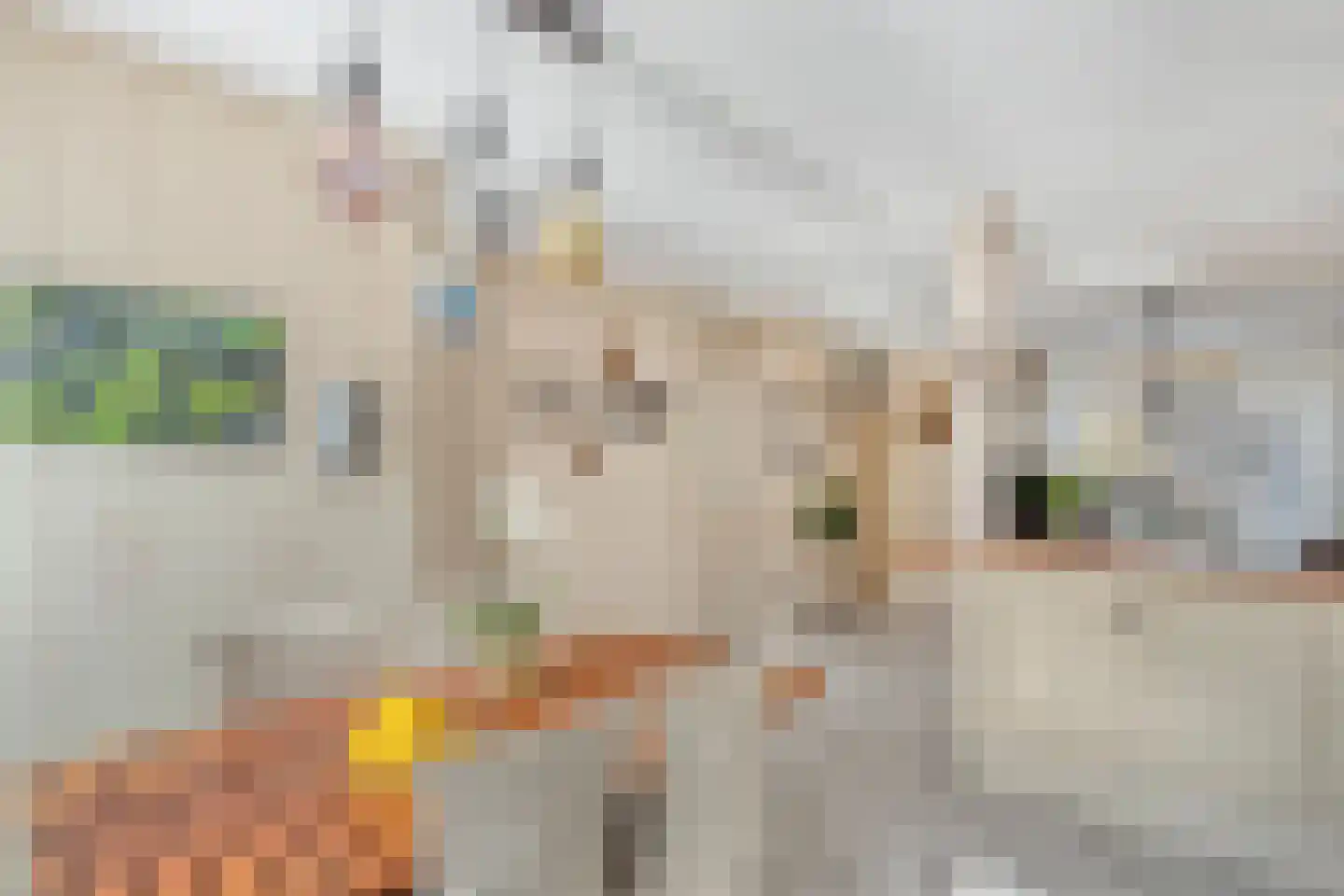 Praagpad 10 Almere thumbnail 13