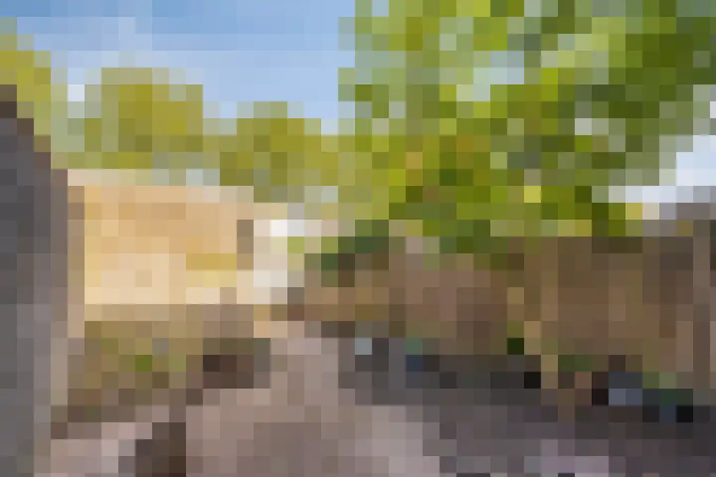 Praagpad 10 Almere thumbnail 23