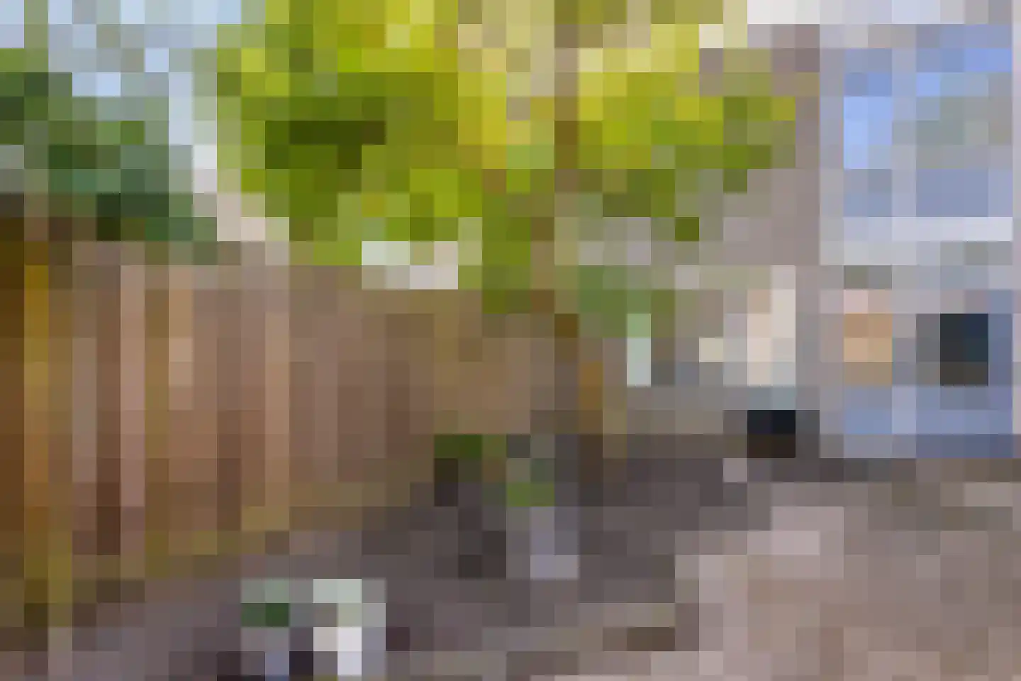 Praagpad 10 Almere thumbnail 24