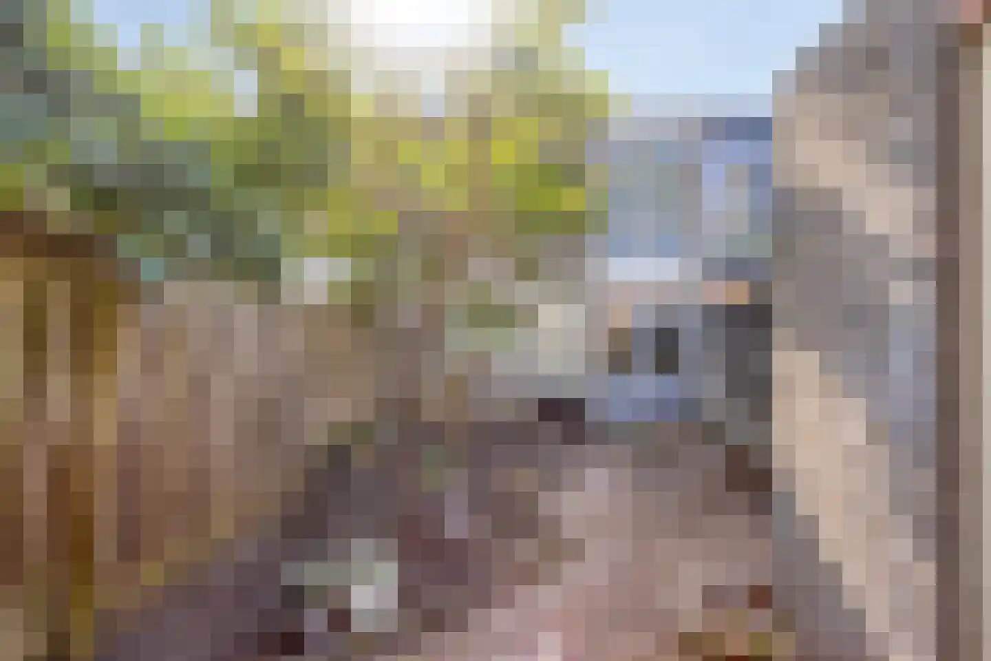 Praagpad 10 Almere thumbnail 25