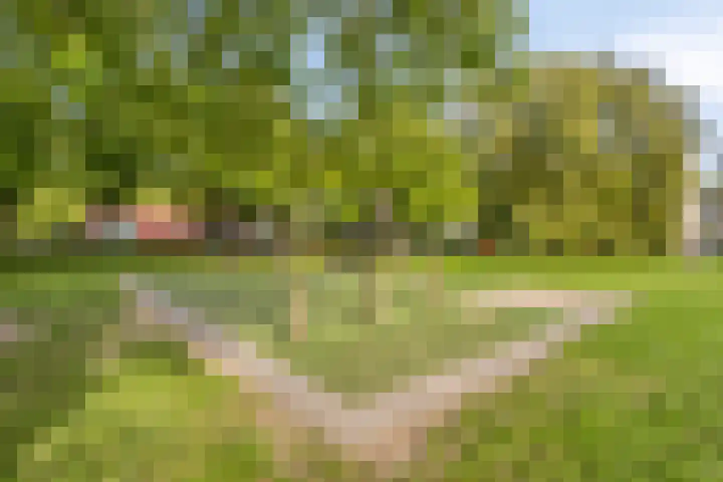 Praagpad 10 Almere thumbnail 26