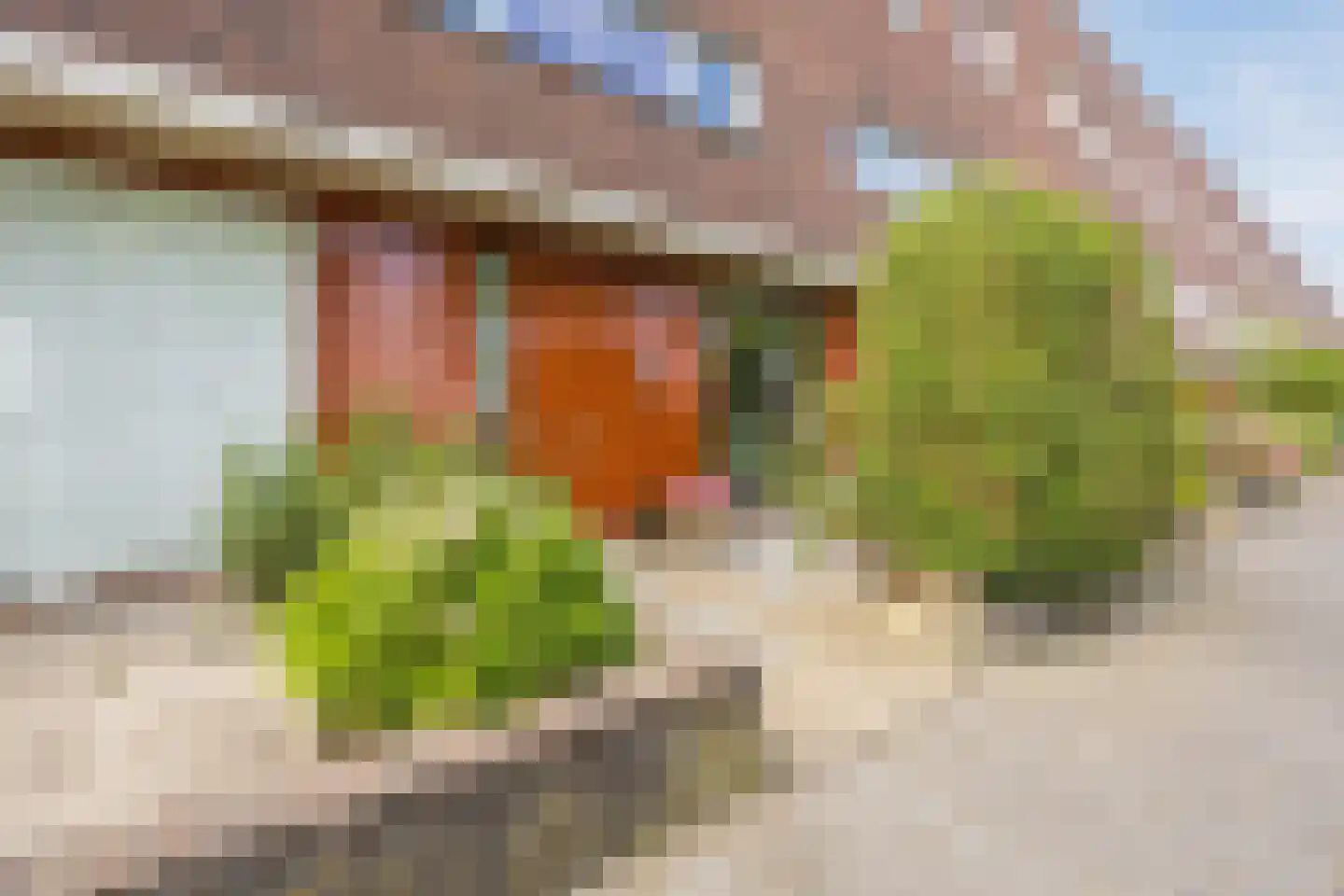 Praagsingel 239 Den Haag thumbnail 6