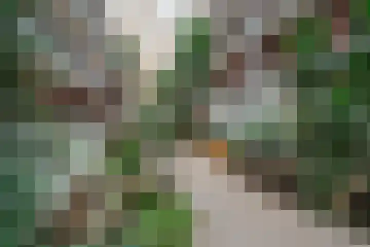 Praagsingel 354 IJsselstein thumbnail 8