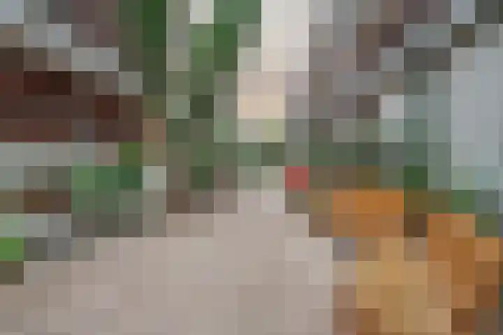 Praagsingel 354 IJsselstein thumbnail 9
