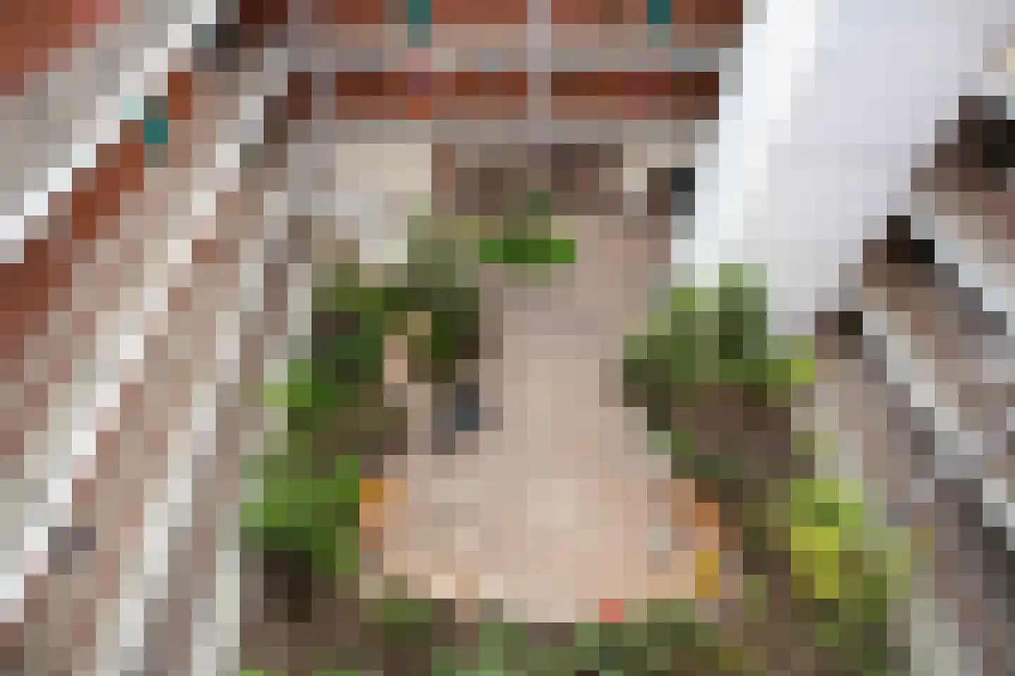 Praagsingel 370 IJsselstein thumbnail 37
