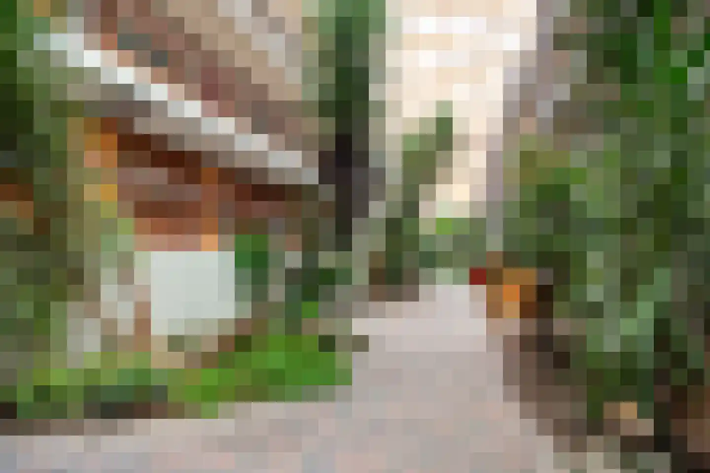 Praagsingel 370 IJsselstein thumbnail 5