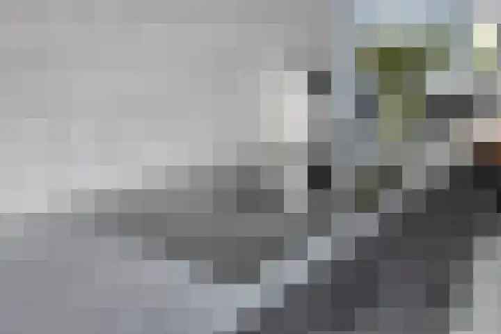 Praagsingel 448 IJsselstein thumbnail 20
