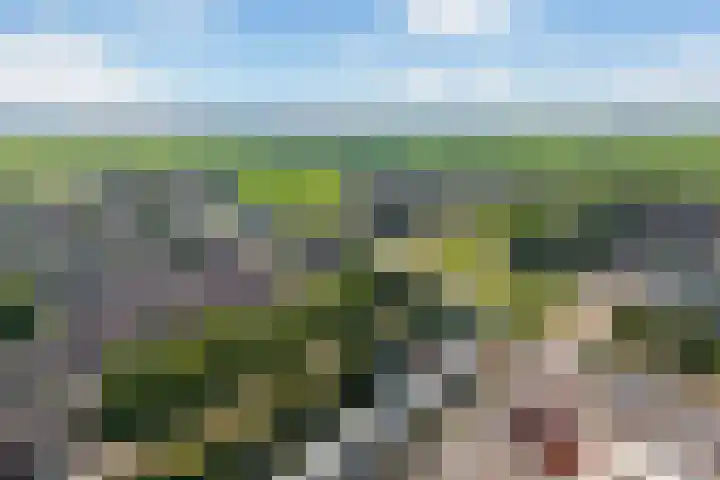 Praagsingel 456 IJsselstein thumbnail 39