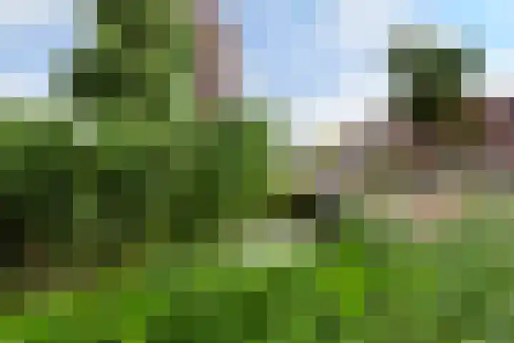 Praagsingel 500 IJsselstein thumbnail 42