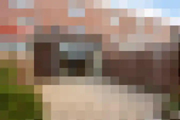Praagsingel 502 IJsselstein thumbnail 24