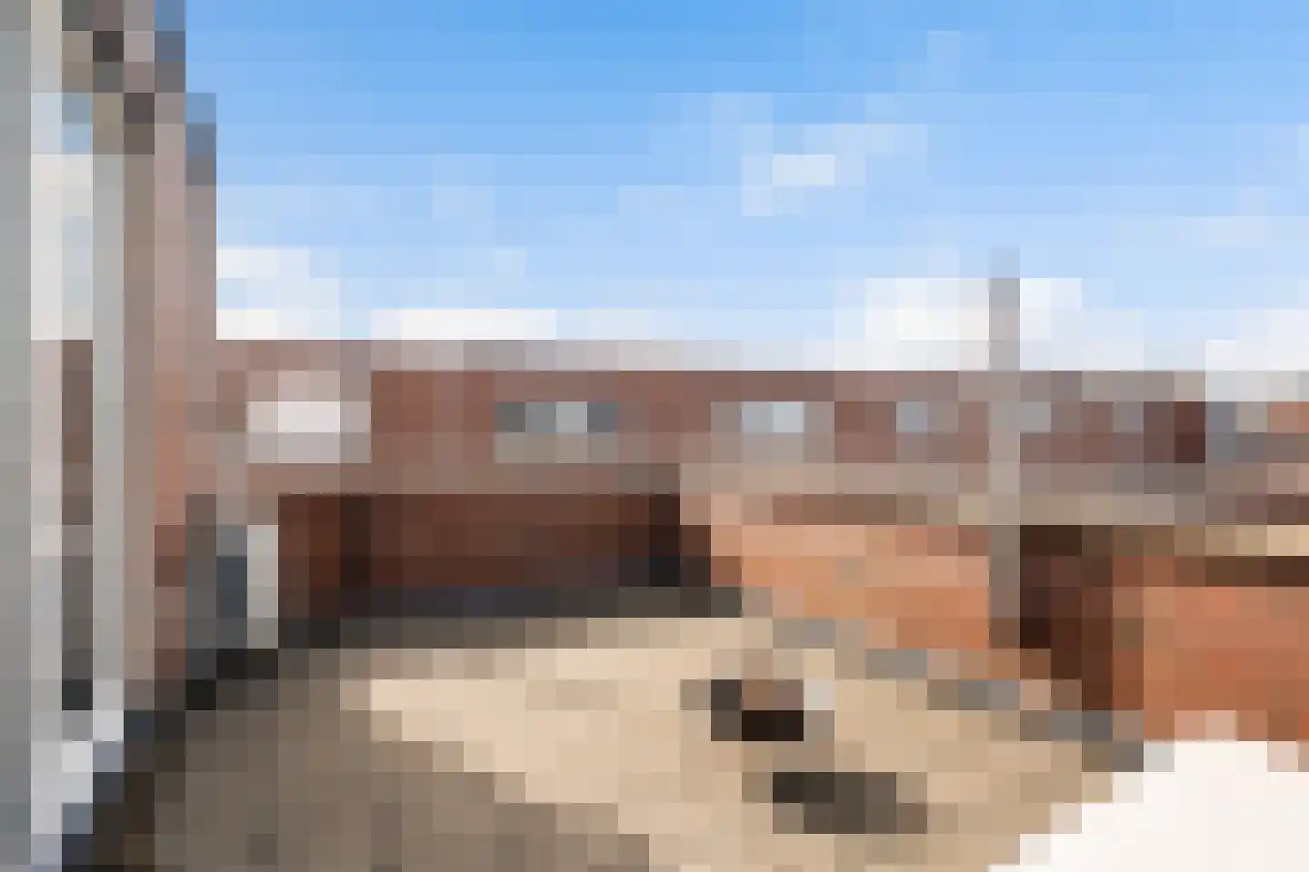 Praagsingel 624 IJsselstein thumbnail 33