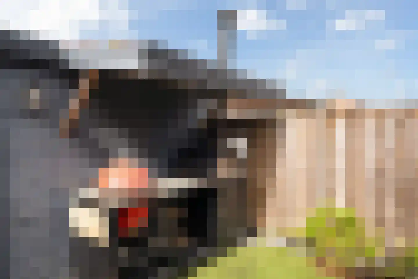 Praagsingel 624 IJsselstein thumbnail 38