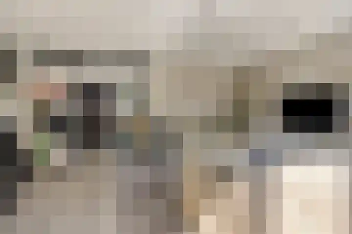 Praalheuvel 19 Best thumbnail 10