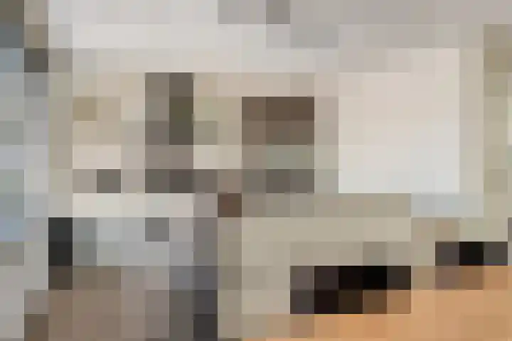 Praalheuvel 19 Best thumbnail 14