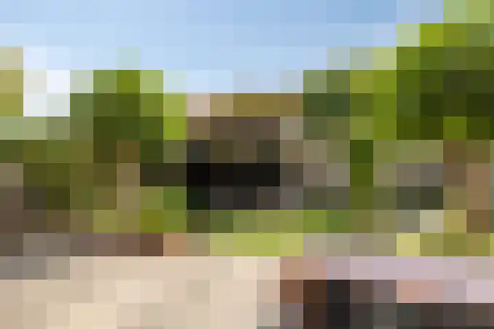 Praalheuvel 19 Best thumbnail 34