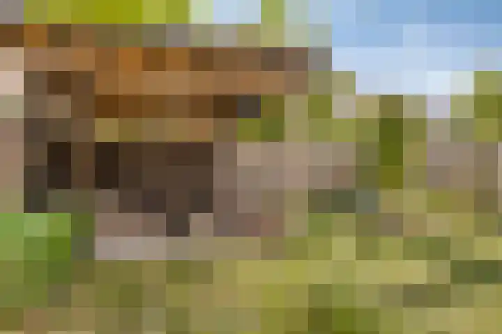 Praalheuvel 19 Best thumbnail 37