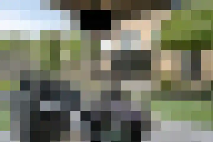 Praalheuvel 19 Best thumbnail 39