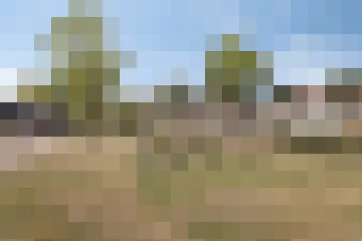 Praalheuvel 19 Best thumbnail 45