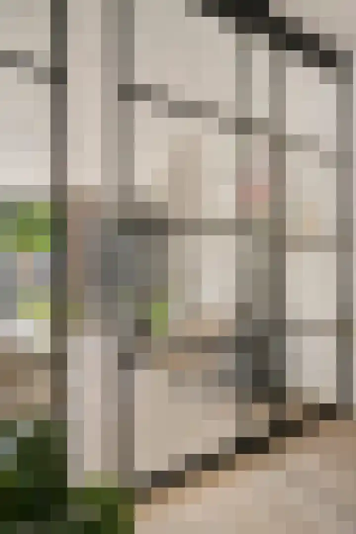 Praalheuvel 19 Best thumbnail 6